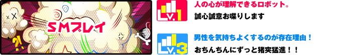 SMプレイ